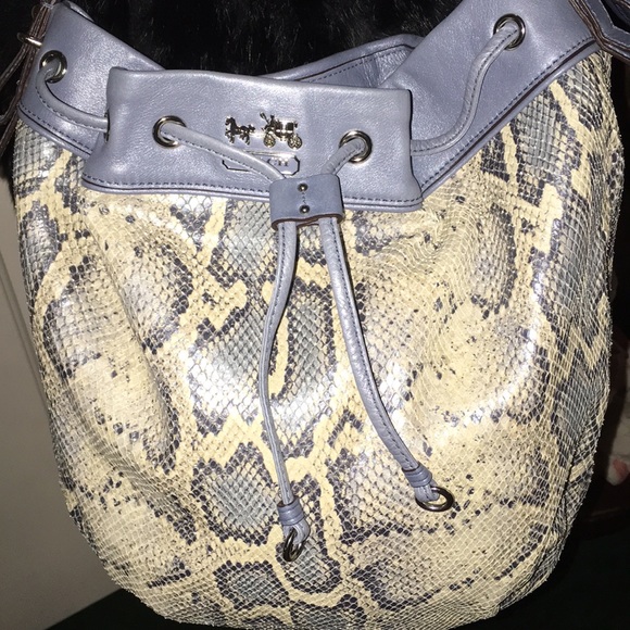 Host Pick 💙 Authentic Coach Limited Edition Blue Python 💙 - Picture 3 of 8